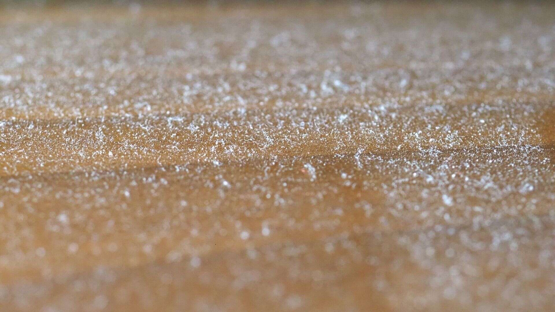 layer of dust on concrete