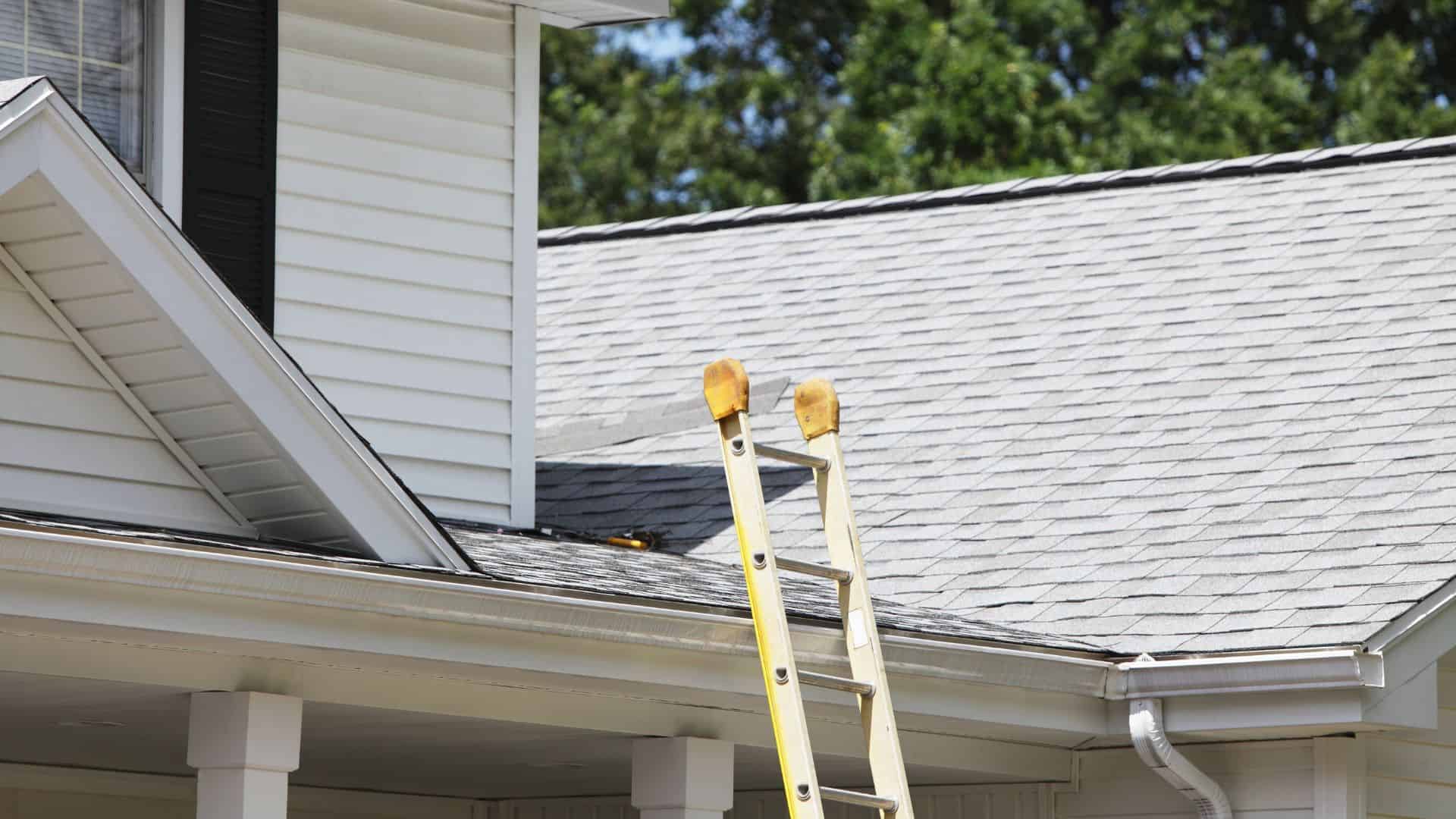 ladder against roof