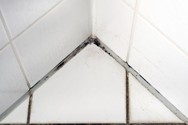 mould in shower corner