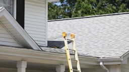 ladder against roof