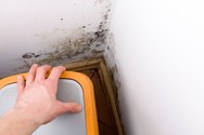 mould hidden on wall 