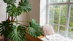 check windowsills for waterproofing