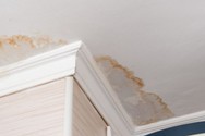 mould on the roof 